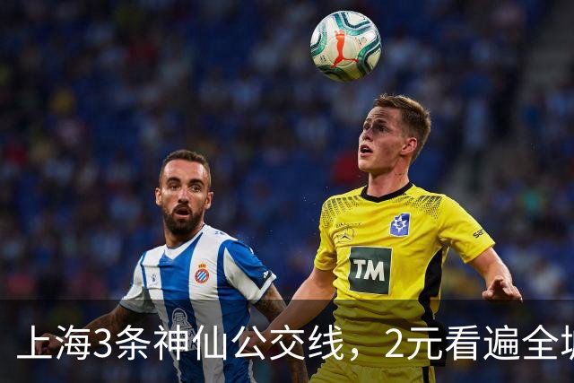 上海3条神仙公交线，2元看遍全城